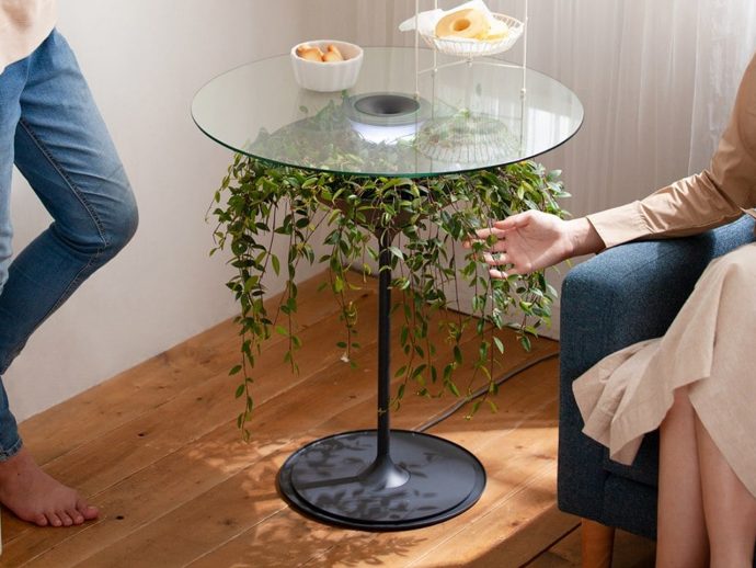Top 5 Biophilic Product Designs To Adapt Functional Greenery for Wellness and Style