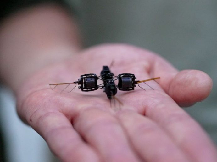MIT develops robotic bee that can flip and hover, and could pollinate plants on other planets someday