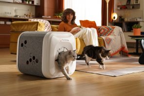 This Cat House Grooms With Bionic Tongue Combs and No Electricity