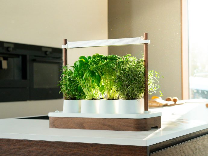 Auk Mini Grows 4 Herbs on Your Counter, No App or Pump Required