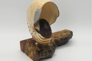 This 500-Million-Year-Old Nautilus Shell Is Now a Speaker