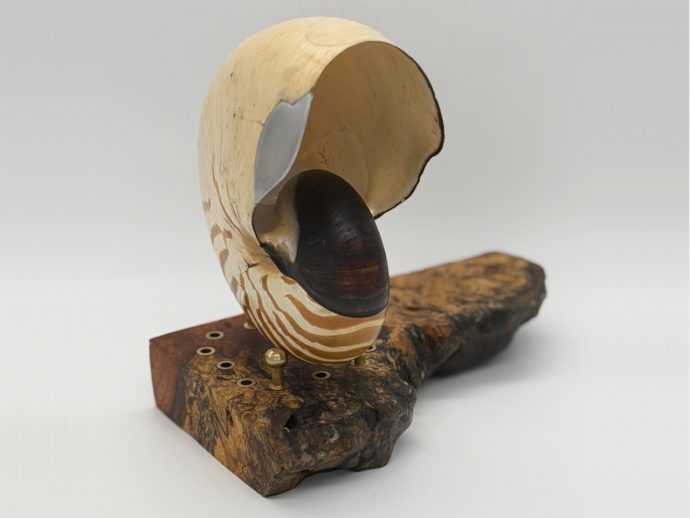 This 500-Million-Year-Old Nautilus Shell Is Now a Speaker