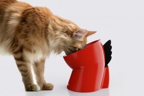 This Dinosaur-Shaped Cat Bowl Reimagines Feeding as a Thoughtful Daily Ritual