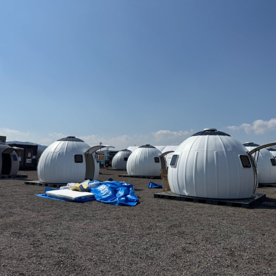 ezdome-01-960x960.jpg