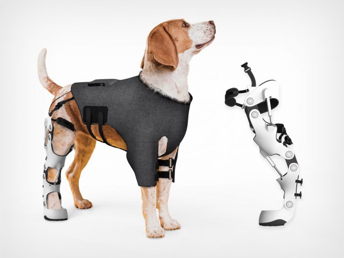 This Intelligent Pet Exoskeleton Helps Injured Dogs Relearn Movement on Their Own Terms