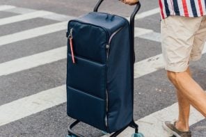 A Granny Cart That Looks Like Luggage: Someone Actually Built It
