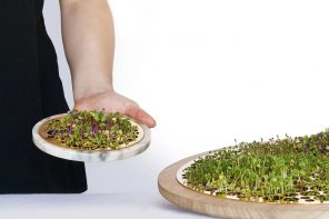 Even Plant Killers Can Appreciate This Beautifully Designed Germinator