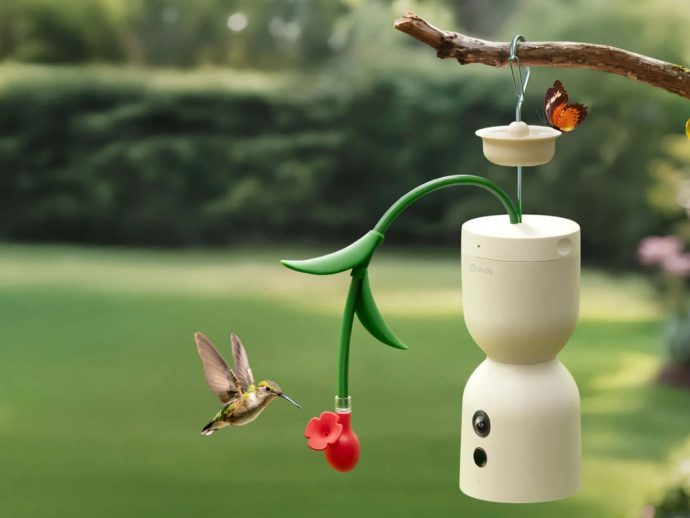 This 4K Bird Feeder Captures Hummingbirds at 120fps in Slow Motion