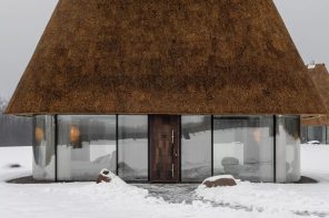 This 50 sq.m. Glass House in Ukraine Has a Reed Roof 3X Its Size