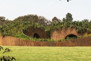 This Invasive Weed Now Builds What It Once Destroyed