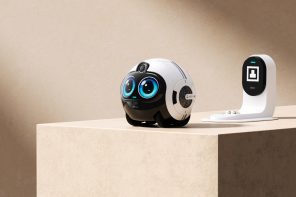 A Rolling Home Robot That Recognizes Faces and Detects Falls for $549