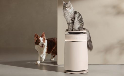 Gray tabby cat perched on a white automatic pet feeder as a brown-and-white dog watches from behind a partition in a neutral-room setting.