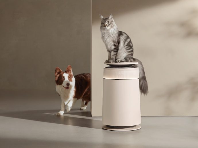 Gray tabby cat perched on a white automatic pet feeder as a brown-and-white dog watches from behind a partition in a neutral-room setting.