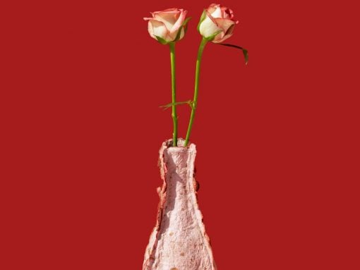 Two pink roses with green stems in a tall, textured pink vase against a solid red background.