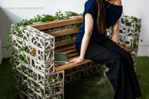 The Bench That Grows Stronger Every Time You Water It