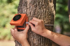 This minimal AI camera blends into the wild while quietly tracking wildlife