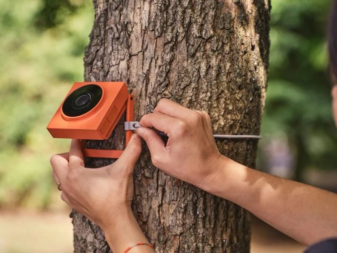 This minimal AI camera blends into the wild while quietly tracking wildlife