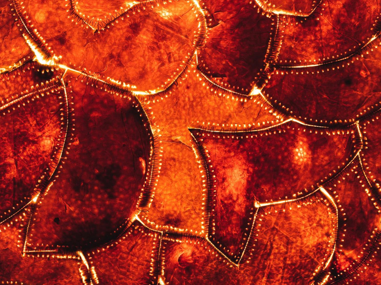 Abstract fiery orange texture with glowing stitched seams outlining irregular shapes.