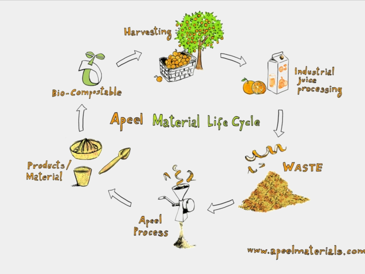 Circular infographic of the Apeel Material Life Cycle with stages: Bio-Compostable, Harvesting, Industrial Juice Processing, Waste, Apeel Process, and Products/Material.