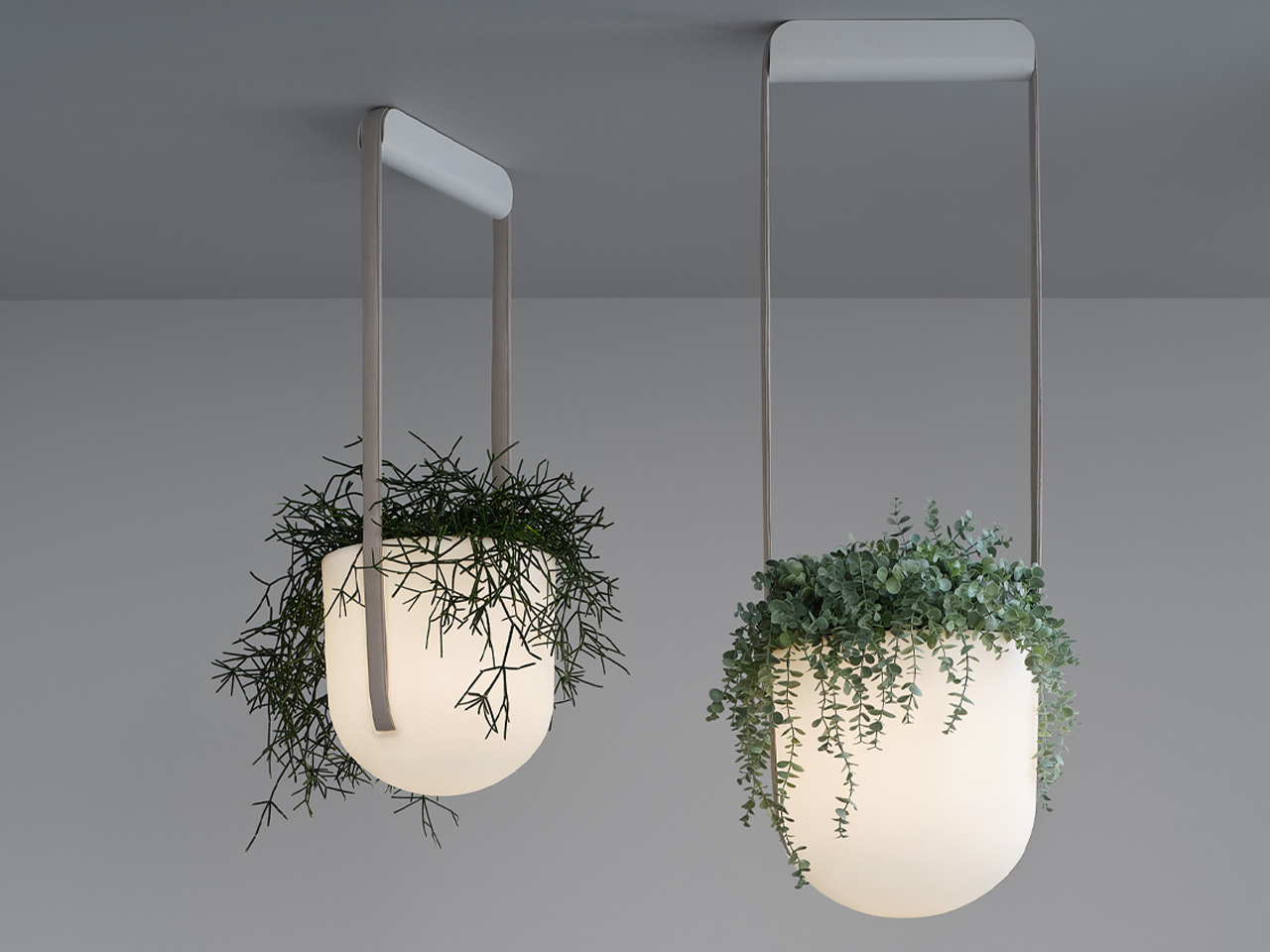 Two glowing hanging planters with trailing greenery suspended from a gray ceiling.