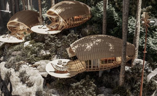 Wooden pod-like treehouses with circular decks perched among pines in a forest, connected by platforms and hammocks