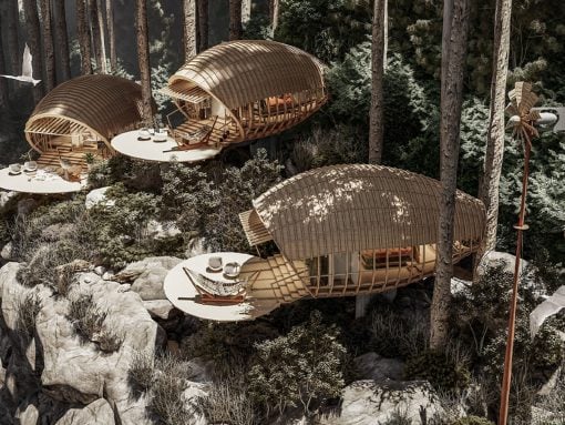 Wooden pod-like treehouses with circular decks perched among pines in a forest, connected by platforms and hammocks
