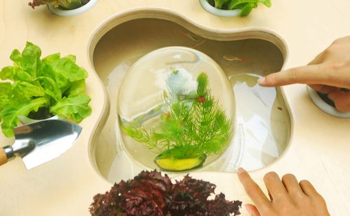 Glass fishbowl in a wooden cutout tray, containing aquatic plants and small fish, with leafy greens and a pointing hand nearby.