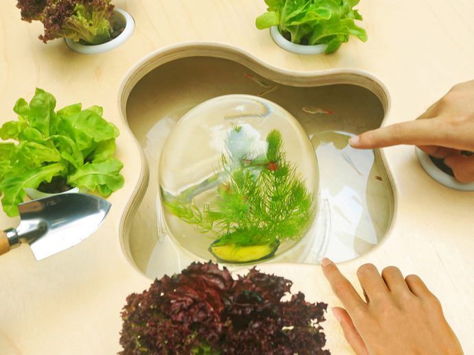 Glass fishbowl in a wooden cutout tray, containing aquatic plants and small fish, with leafy greens and a pointing hand nearby.