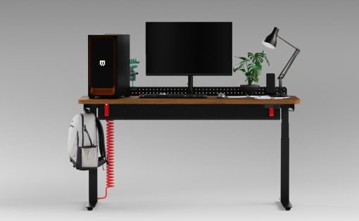 Desk setup: monitor and keyboard on wood desk, left computer tower, desk lamp, plant, and a backpack hanging from a red coiled cord under the desk.