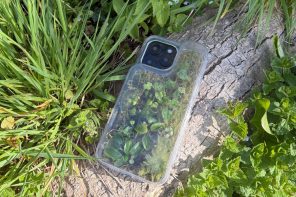Phone Cases Are Boring, This One Puts a Living Terrarium Inside