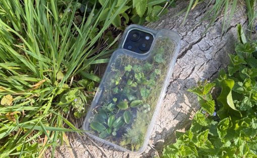 Clear smartphone case filled with small plants and moss, placed on a cracked rock among green foliage.