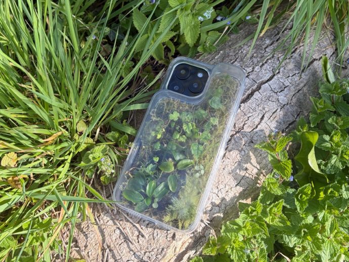 Clear smartphone case filled with small plants and moss, placed on a cracked rock among green foliage.