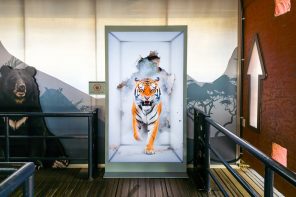 Samsung Just Turned a Theme Park Queue Into a 3D Safari, No Glasses