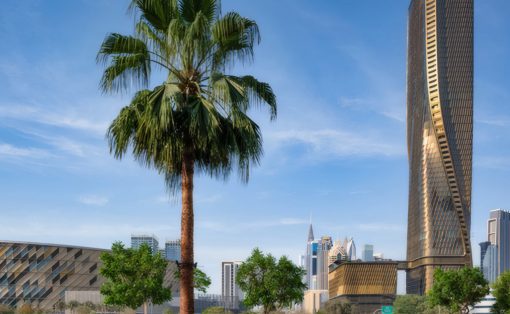 Palm tree in a park with a modern city skyline and a twisting skyscraper in the background under a clear blue sky.