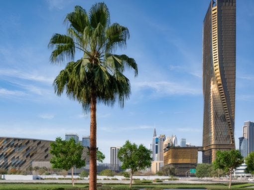 Palm tree in a park with a modern city skyline and a twisting skyscraper in the background under a clear blue sky.