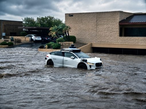 White Waymo self-driving car partially submerged in floodwater on a street in front of a beige brick building with palm trees and parked cars nearby; floodwaters cover the road and surrounding area, suggesting severe rain or storm impact.