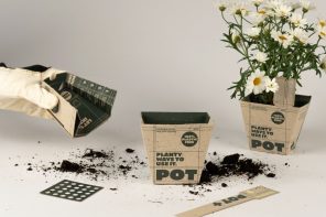 3-in-1 Cardboard Pot Just Made Plastic Pots Obsolete