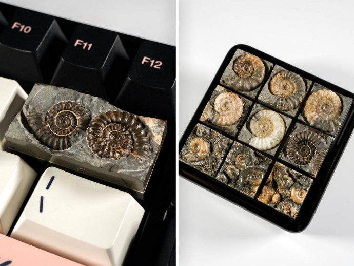 These Actual Ammonite Fossil Keycaps Put 200 Million Years of Natural History on Your Keyboard