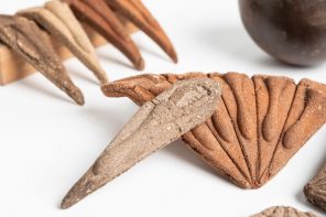 A Student Just Designed a Seed Kit That Dissolves Into Your Garden
