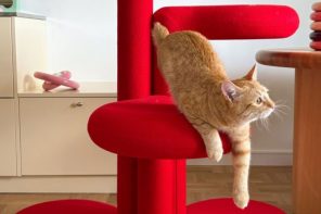 Gustaf Westman Gives Cat Furniture a Playful Upgrade