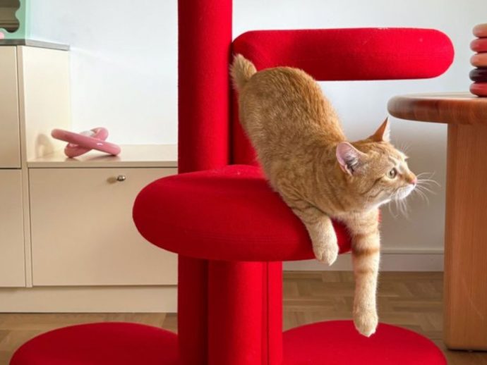 Gustaf Westman Gives Cat Furniture a Playful Upgrade
