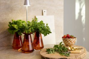 The Hydroponic Garden That Finally Looks Good on Your Counter