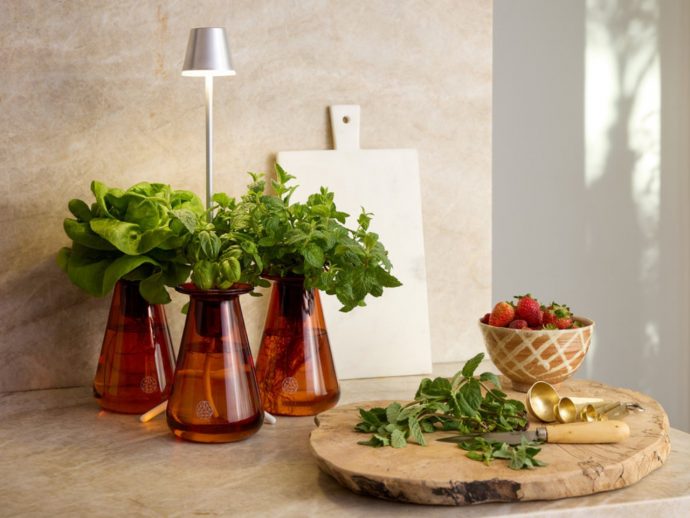 The Hydroponic Garden That Finally Looks Good on Your Counter