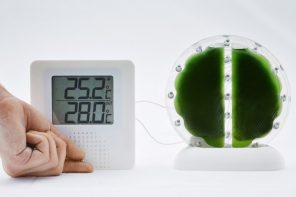 Forget Lithium. Algae Might Be Powering Your Devices Next.