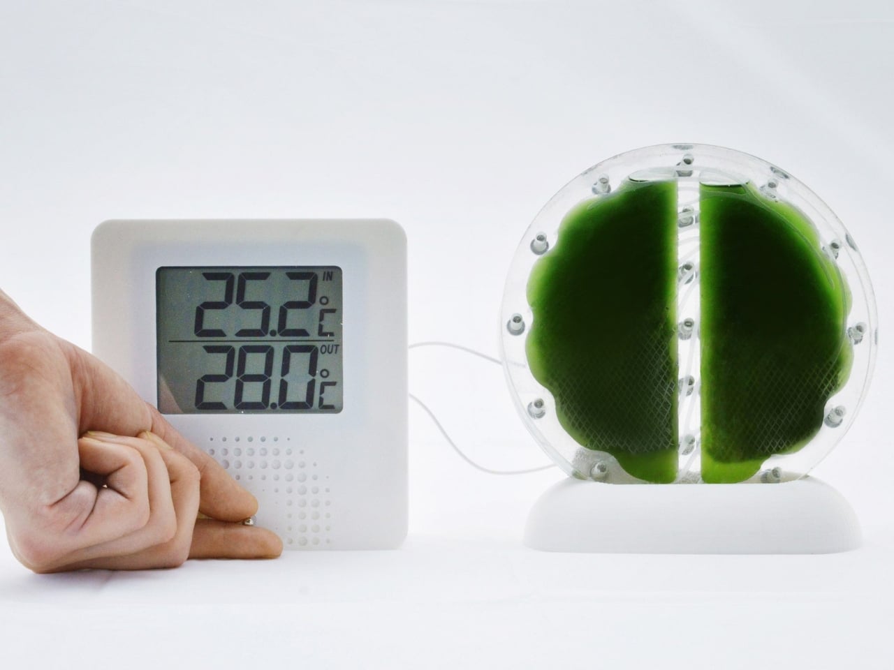 yankodesign.com - Ida Torres - Forget Lithium. Algae Might Be Powering Your Devices Next.