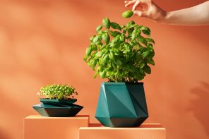Self-Watering Origami Pot Expands With Your Plant So You Never Have to Repot in Panic Again