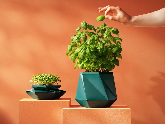 This Origami Pot Just Solved the 2 Things That Kill Most Houseplants