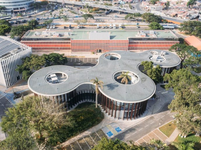 Biophilic Library Let the Trees Decide Exactly Where the Walls Go