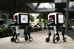 Meet the Robot Dog Built to Climb Your Stairs With Your Packages