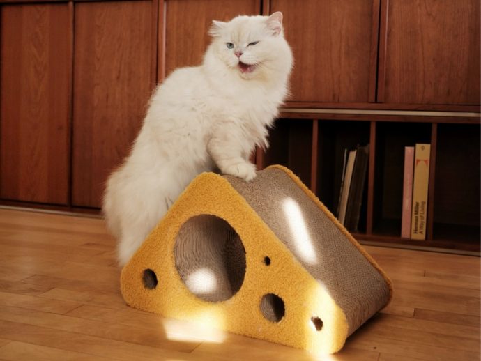 The Cat Scratcher That Looks Like Real Furniture